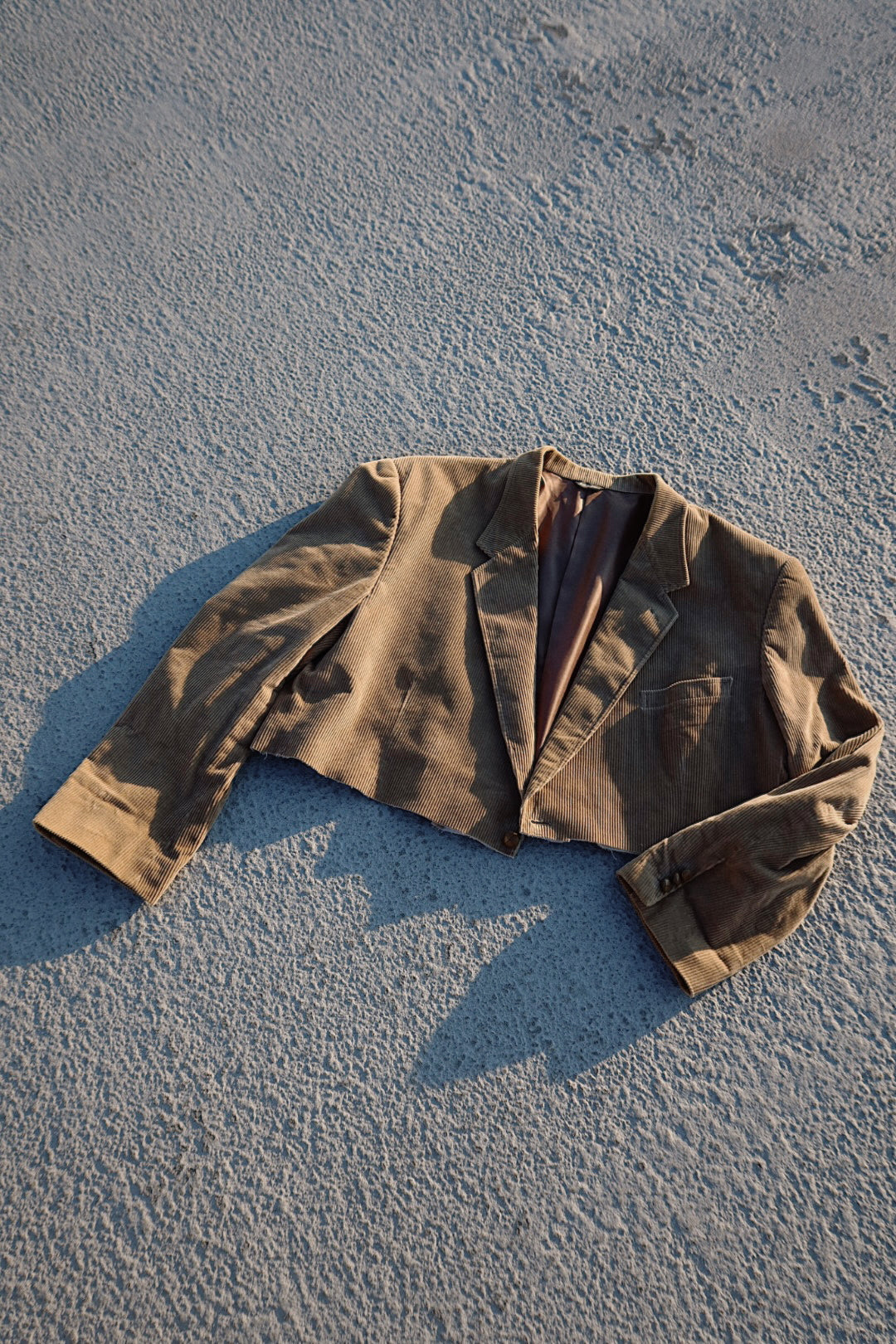 Desert Nights Corduroy Cropped Blazer